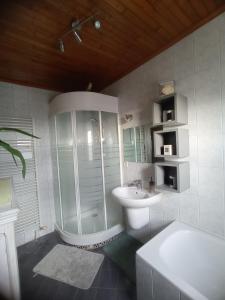 a bathroom with a shower and a sink at Maison vue mer et campagne in Sibiril