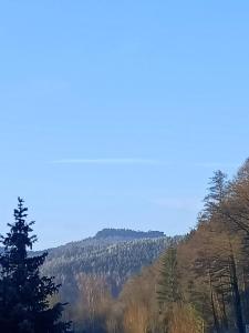 a view of a mountain with trees on it at Gohrischstein Blick in Rathmannsdorf
