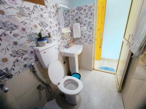 a bathroom with a toilet and a sink at Blue Hills- B&B McleodGanj in Dharamshala +19 photos