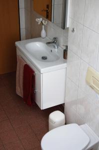 ein Bad mit einem Waschbecken und einem WC in der Unterkunft Ferienwohnung in Pinnow bei Schwerin in Pinnow