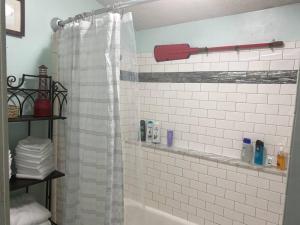 uma casa de banho com chuveiro e cortina de chuveiro em Solar Roof, eco-friendly home em Baltimore
