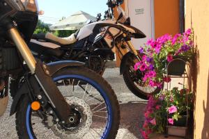 twee motorfietsen geparkeerd naast elkaar naast bloemen bij Apartments Kapisoda in Cetinje