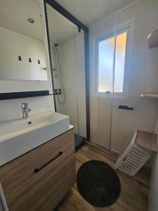 La salle de bains est pourvue d'un lavabo, d'un miroir et d'une douche. dans l'établissement Mobil home Sylvie et Alain, à Canet