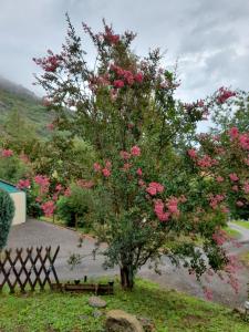 Un árbol con flores rosas junto a una valla. en Le chalet de Sabine et Patrick, en Vicdessos