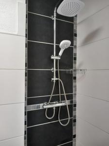 eine Dusche mit Duschkopf im Bad in der Unterkunft Landhaus Rißbachtal in Bodenmais