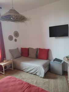ein Sofa im Wohnzimmer mit einem Flachbild-TV in der Unterkunft La Provinciale en Ville in Montélimar
