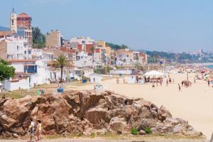 Naturlandskabet i nærheden af lejligheden