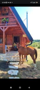 un cavallo in piedi di fronte a una baita di tronchi di Ranč Crna stina a Livno