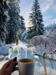 a person holding a cup of coffee in the snow at Jelenia Struga MEDICAL SPA in Kowary