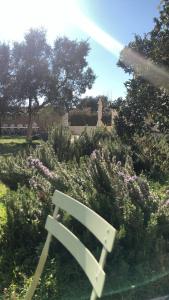 a white bench sitting in a garden with flowers at Agroturisme MAS CAN FONT in Ventalló