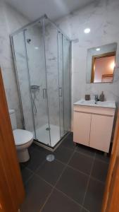 La salle de bains est pourvue d'une douche, de toilettes et d'un lavabo. dans l'établissement Casa de baixo studios, à Arouca
