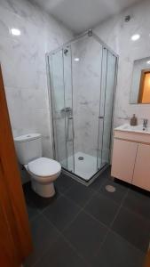 La salle de bains est pourvue de toilettes et d'une douche en verre. dans l'établissement Casa de baixo studios, à Arouca