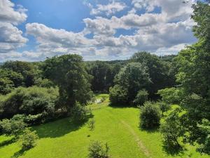 an overhead view of a green field with trees at Budget stay, in lovely private setting with rustic charm, log burner, fire pit, campers kitchen & Eco Loo NO BEDDING SUPPLIED in Narberth