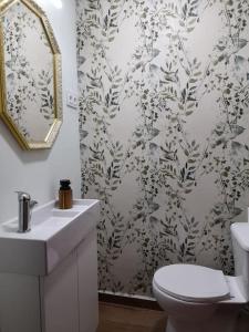 a bathroom with a toilet and a sink and a mirror at Vivienda Turistica Vino Tinto in Almonacid de Toledo +30 photos