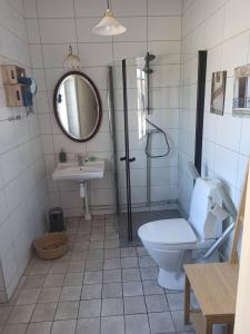 La salle de bains est pourvue de toilettes, d'un lavabo et d'un miroir. dans l'établissement Gästis Vandrarhem i Örkelljunga, à Orkelljunga