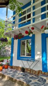 una casa blu e bianca con finestra e fiori di Pescarul Deltei a Murighiol
