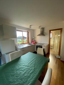 a kitchen with a green table in a room at Casa dei sogni in Valdaora