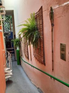 a pink building with a window and a palm tree at Vilarejo Hostel Pinheiros Guest House in Sao Paulo