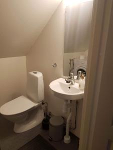 La salle de bains est pourvue de toilettes, d'un lavabo et d'un miroir. dans l'établissement Lilla lägenheten, à Broddetorp