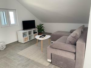 TV a/nebo společenská místnost v ubytování Apartmani Vidakovic