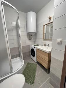 a bathroom with a shower and a sink and a washing machine at Zamárdi Margittai Apartmanok in Zamárdi