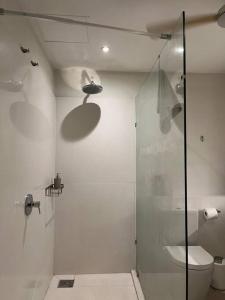 La salle de bains est pourvue de toilettes et d'une douche en verre. dans l'établissement Beachfront Apartment, à Tamarin