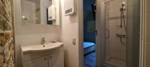 Vannituba majutusasutuses Hotel Landhuis 't Wilgenerf