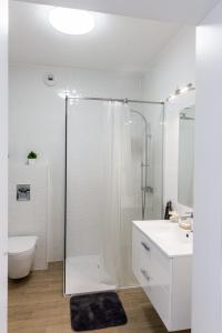 W łazience znajduje się prysznic, toaleta i umywalka. w obiekcie Apartament Lubartowska w mieście Lublin