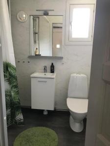 a bathroom with a toilet and a sink and a mirror at Strandnära stuga Torsö, Sölvesborg, Blekinge skärgård in Torsö
