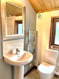 Phòng tắm tại Snowdrop 13-Hot Tub-Woodlandlodges-Carmarthenshire