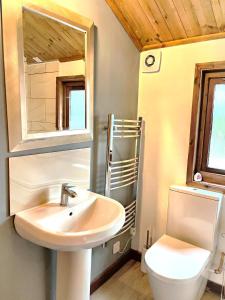 a bathroom with a sink and a toilet at Snowdrop 13-Hot Tub-Woodlandlodges-Carmarthenshire in Carmarthen