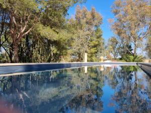 una piscina con árboles en el fondo en Petra - Country House, en Monteroni di Lecce