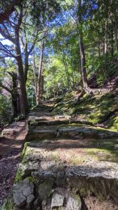 een rotsachtig pad in een bos met bomen bij 神倉書斎 [Kamikura-Hideaway] in Shingu