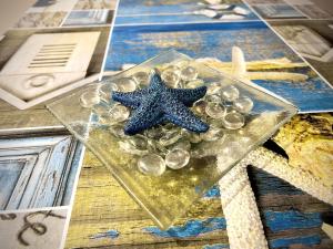 una estrella de mar en una placa de cristal sobre una mesa en Apartamento Barrio de la Arena, en Gijón 29 fotos más