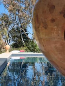 a pool of water with a large ball in the foreground at Petra - Country House in Monteroni di Lecce