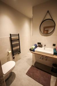 アウフファッハにあるLuisalleのバスルーム(洗面台、トイレ、鏡付)