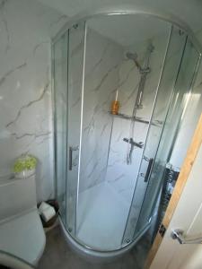 a shower with a glass enclosure in a bathroom at The Wee house at the cottage in Annan