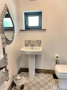 a bathroom with a sink and a mirror at BlueStone-Hot Tub-Woodlandlodges-Pembrokeshire-Tenby in Carmarthen