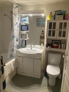 bagno con lavandino bianco e servizi igienici di Un appartement au château de Locquéran Finistère a Plouhinec