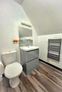 a bathroom with a toilet and a sink and a mirror at BlueBell 16-Hot Tub-Woodland Lodges-Pembrokeshire in Carmarthen