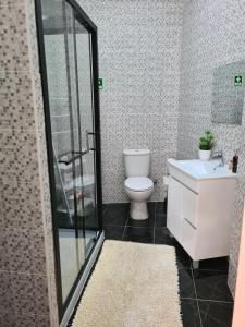 een badkamer met een toilet en een wastafel bij Glaciar Guest House in Manteigas