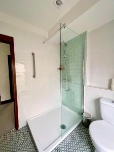 ein Bad mit einer Dusche und einem WC in der Unterkunft The Norseman Temple Bar in Dublin