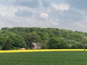 a house in the middle of a field of yellow flowers at Au Bois d'Epenin - Gite et Spa in Beugin