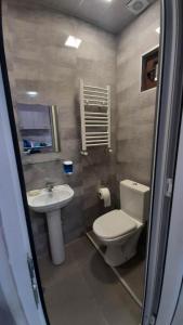 uma casa de banho com um WC e um lavatório em Ekas apartamenti em Tbilisi