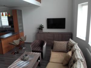 a living room with a couch and a tv at Vila Danmar - rent whole vila or upper floor apartment in Závažná Poruba
