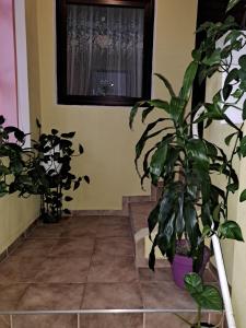 Gallery image of La Bibicu in Agnita
