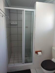a bathroom with a glass shower with a toilet at Worcester Garden Cottage in Worcester