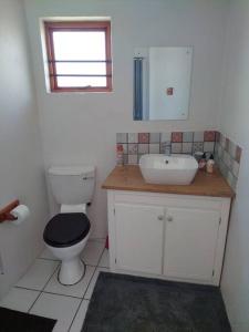 a bathroom with a toilet and a sink and a mirror at Worcester Garden Cottage in Worcester