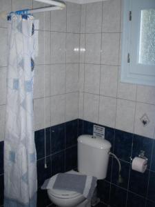 a small bathroom with a toilet and a window at Hotel Dina - Ξενοδοχείο Ντινα in Platy