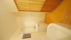 ペズナにあるTerrasse fleurieの小さなバスルーム(トイレ、ボックス付)